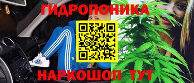 ECSTASY Обь