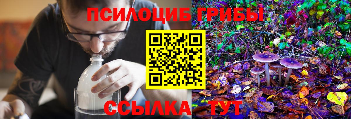 Псилоцибиновые грибы Psilocybe  Вход с VPN  наркота  Алейск 