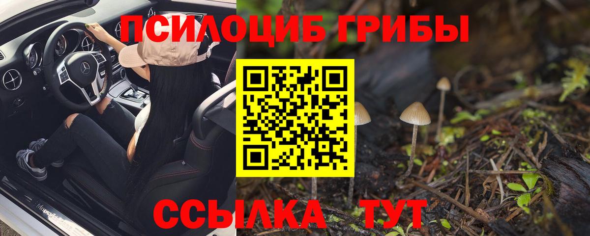 Псилоцибиновые грибы GOLDEN TEACHER Алейск
